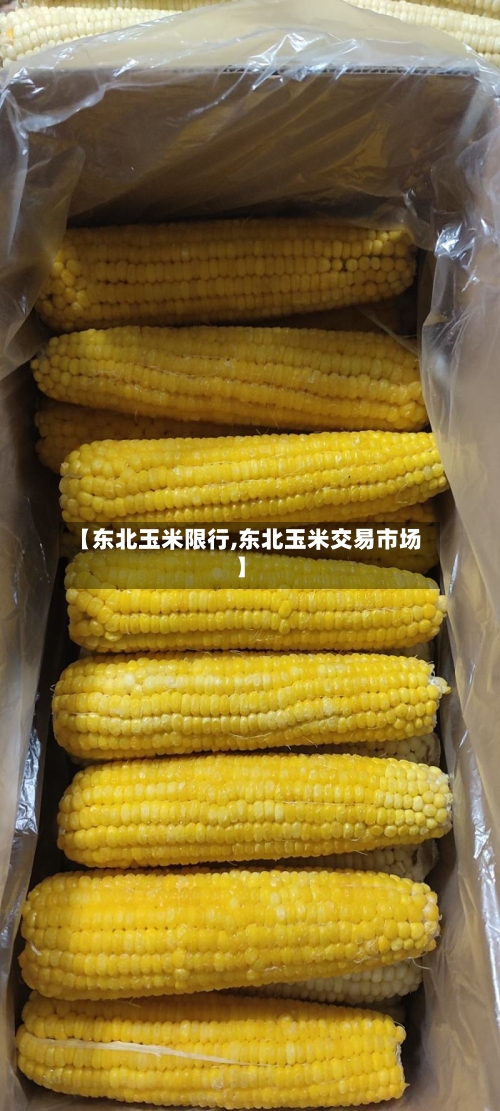 【东北玉米限行,东北玉米交易市场】