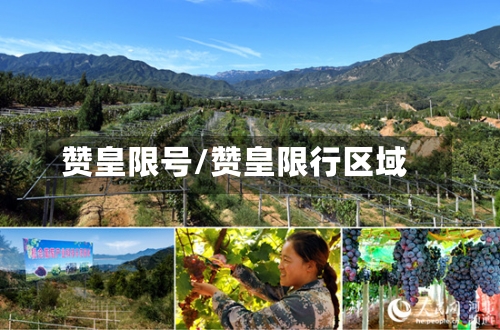 赞皇限号/赞皇限行区域-第2张图片