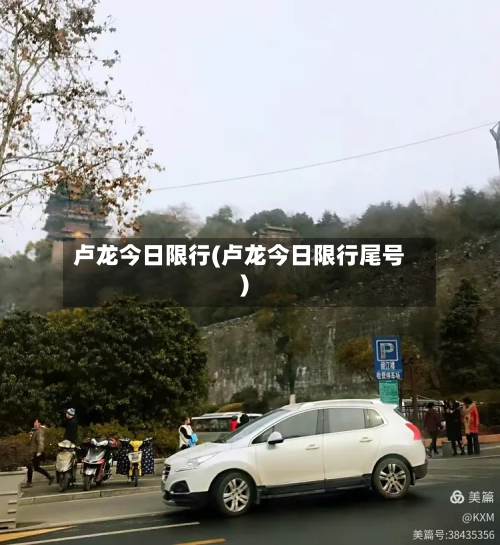 卢龙今日限行(卢龙今日限行尾号)