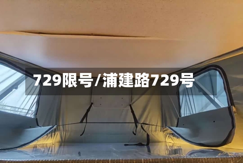 729限号/浦建路729号-第3张图片