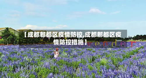 【成都郫都区疫情防控,成都郫都区疫情防控措施】