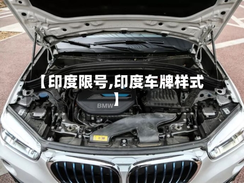【印度限号,印度车牌样式】-第2张图片