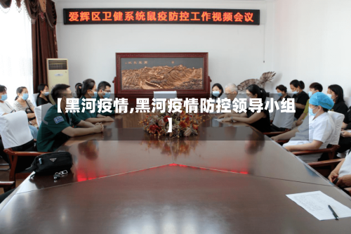 【黑河疫情,黑河疫情防控领导小组】-第2张图片