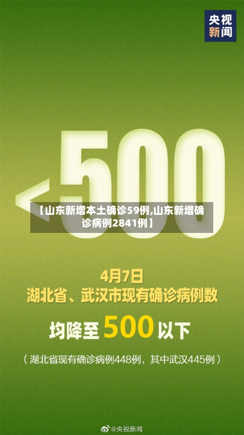 【山东新增本土确诊59例,山东新增确诊病例2841例】
