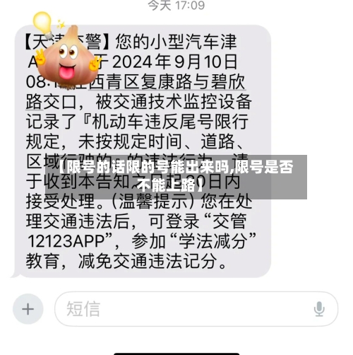 【限号的话限的号能出来吗,限号是否不能上路】