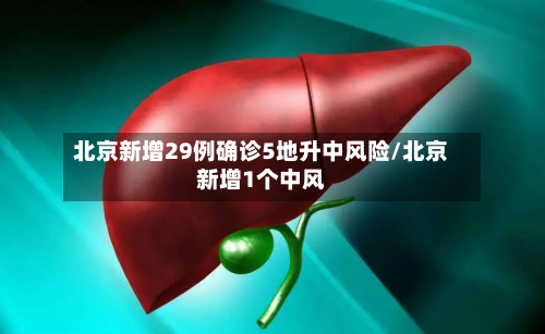 北京新增29例确诊5地升中风险/北京新增1个中风-第2张图片