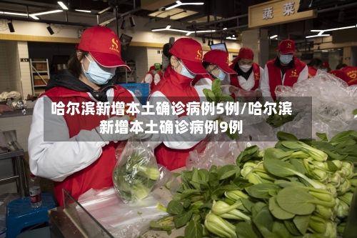 哈尔滨新增本土确诊病例5例/哈尔滨新增本土确诊病例9例-第2张图片