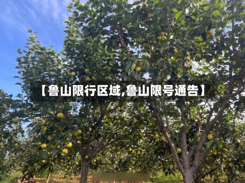 【鲁山限行区域,鲁山限号通告】-第2张图片