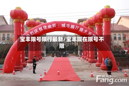 宝丰限号限行最新/宝丰现在限号不限-第2张图片