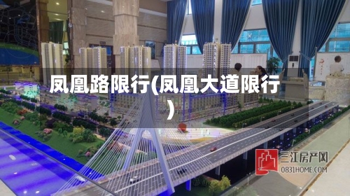 凤凰路限行(凤凰大道限行)-第2张图片