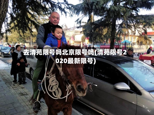 去清苑限号吗北京限号吗(清苑限号2020最新限号)