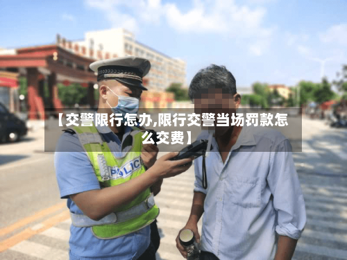 【交警限行怎办,限行交警当场罚款怎么交费】-第2张图片