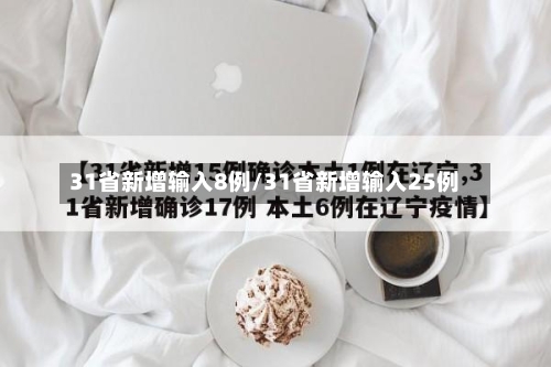 31省新增输入8例/31省新增输入25例-第2张图片