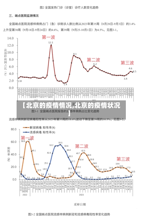 【北京的疫情情况,北京的疫情状况】