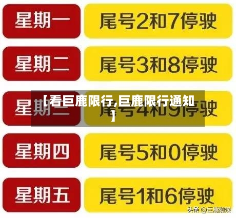 【看巨鹿限行,巨鹿限行通知】