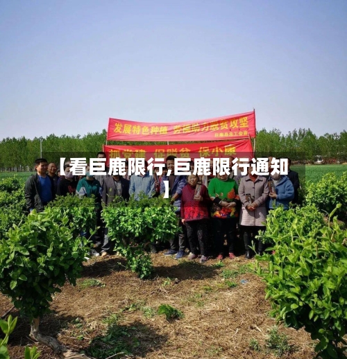 【看巨鹿限行,巨鹿限行通知】-第3张图片