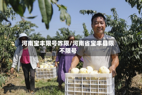 河南宝丰限号咋限/河南省宝丰县限不限号-第2张图片