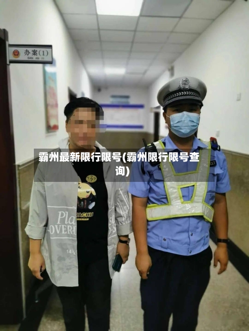 霸州最新限行限号(霸州限行限号查询)-第3张图片