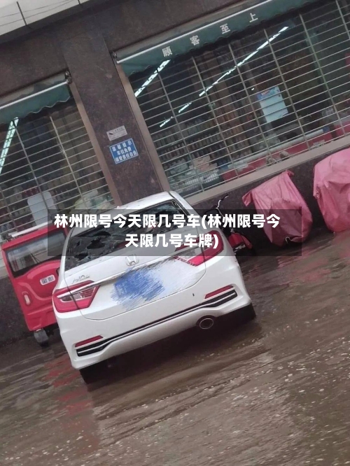 林州限号今天限几号车(林州限号今天限几号车牌)-第2张图片