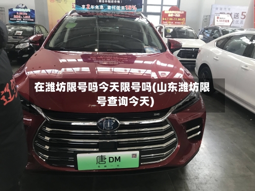 在潍坊限号吗今天限号吗(山东潍坊限号查询今天)-第2张图片