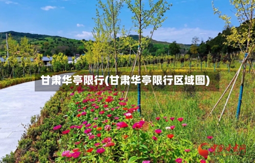 甘肃华亭限行(甘肃华亭限行区域图)
