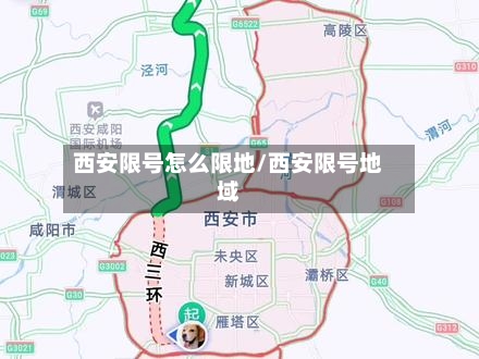 西安限号怎么限地/西安限号地域