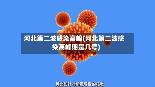 河北第二波感染高峰(河北第二波感染高峰期是几号)
