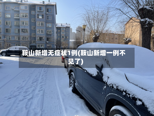 鞍山新增无症状1例(鞍山新增一例不见了)