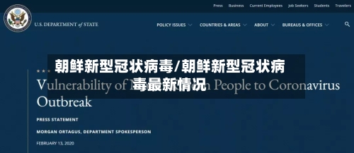 朝鲜新型冠状病毒/朝鲜新型冠状病毒最新情况-第2张图片