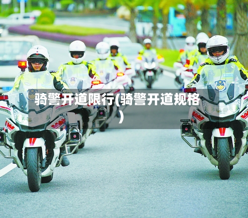 骑警开道限行(骑警开道规格)-第3张图片