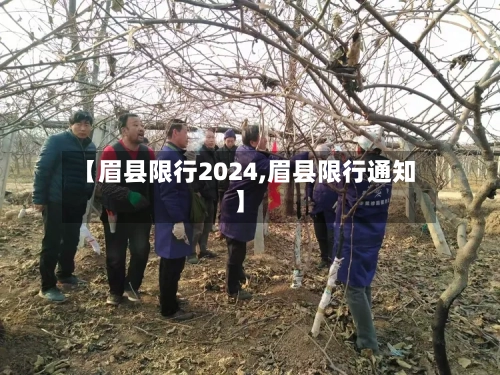 【眉县限行2024,眉县限行通知】