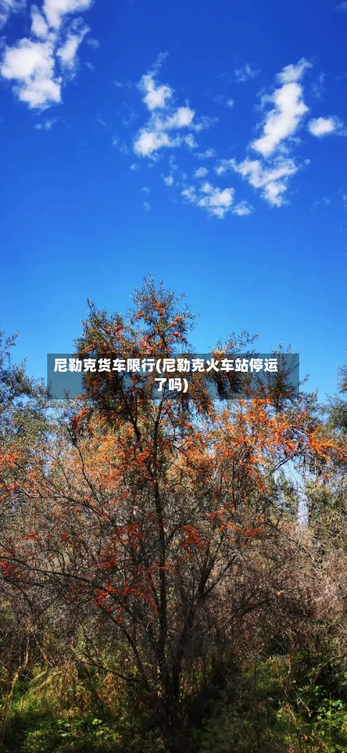 尼勒克货车限行(尼勒克火车站停运了吗)