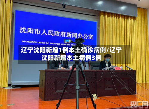 辽宁沈阳新增1例本土确诊病例/辽宁沈阳新增本土病例3例