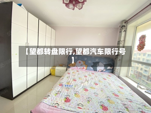 【望都转盘限行,望都汽车限行号】-第3张图片