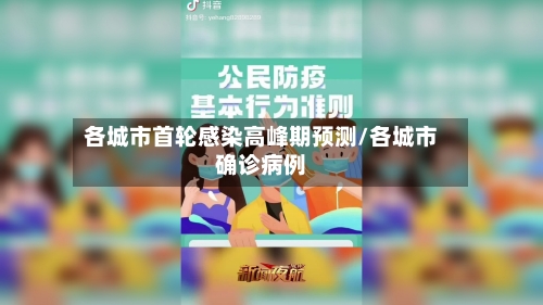 各城市首轮感染高峰期预测/各城市确诊病例-第2张图片