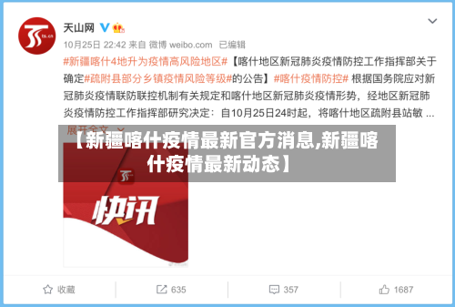 【新疆喀什疫情最新官方消息,新疆喀什疫情最新动态】