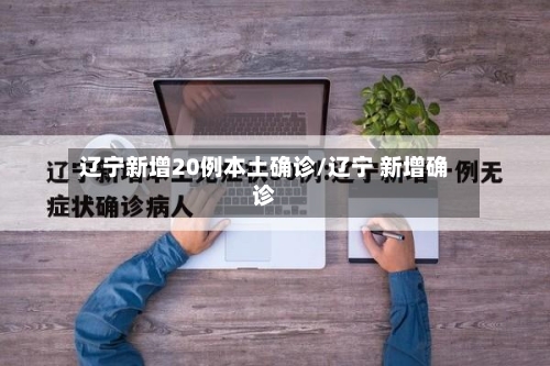 辽宁新增20例本土确诊/辽宁 新增确诊
