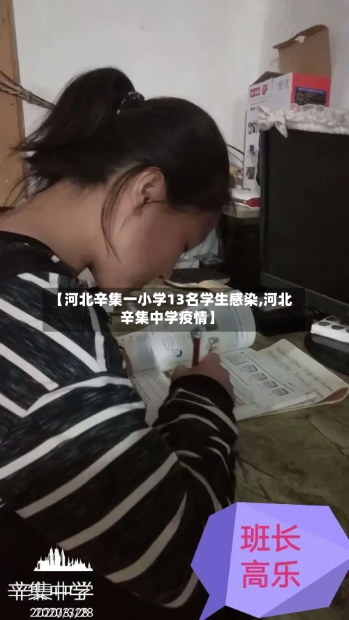 【河北辛集一小学13名学生感染,河北辛集中学疫情】-第2张图片