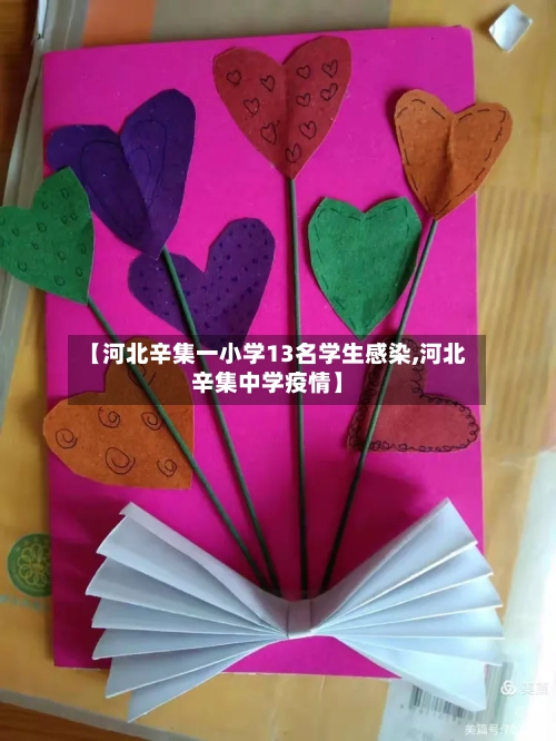 【河北辛集一小学13名学生感染,河北辛集中学疫情】-第3张图片