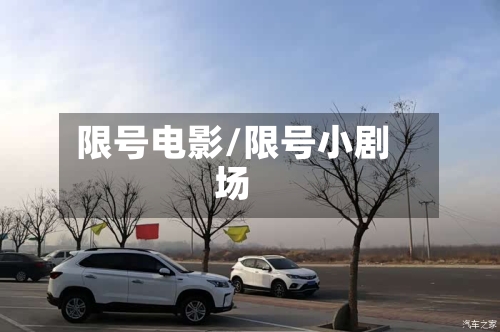 限号电影/限号小剧场-第3张图片