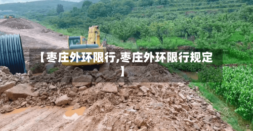 【枣庄外环限行,枣庄外环限行规定】