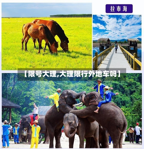 【限号大理,大理限行外地车吗】