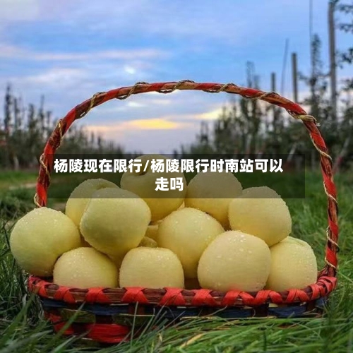 杨陵现在限行/杨陵限行时南站可以走吗-第3张图片