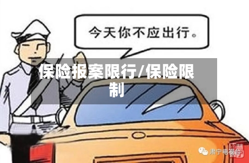保险报案限行/保险限制