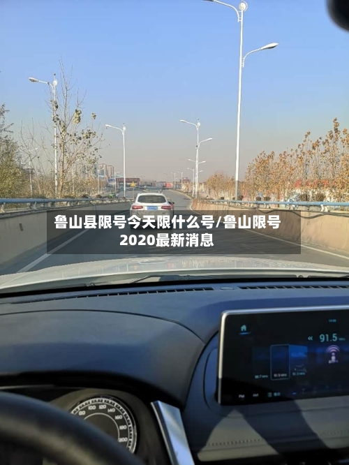 鲁山县限号今天限什么号/鲁山限号2020最新消息-第2张图片