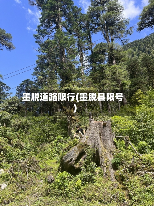 墨脱道路限行(墨脱县限号)