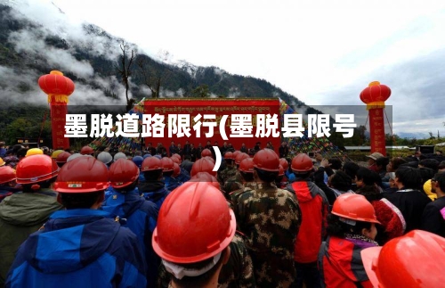 墨脱道路限行(墨脱县限号)-第3张图片