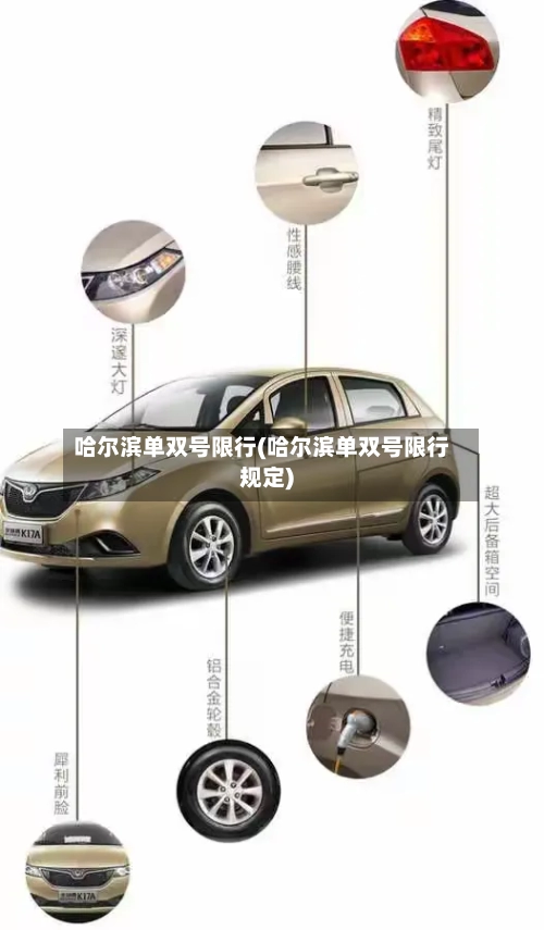 哈尔滨单双号限行(哈尔滨单双号限行规定)