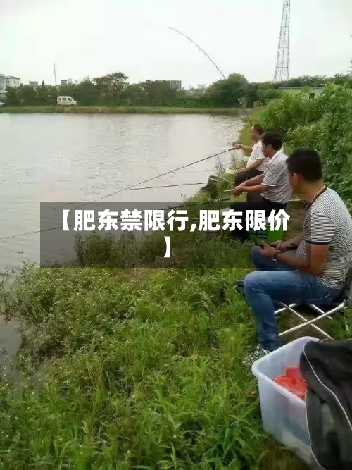 【肥东禁限行,肥东限价】-第2张图片