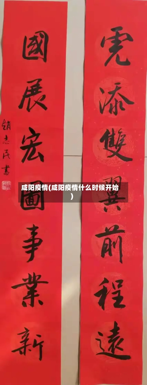 咸阳疫情(咸阳疫情什么时候开始)-第3张图片